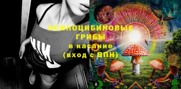 прущие грибы Алзамай