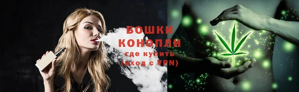 винт Лабытнанги