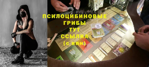 прущие грибы Алзамай