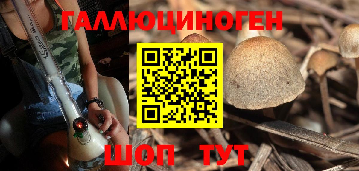 Галлюциногенные грибы прущие грибы  Галлюциногенные грибы GOLDEN TEACHER  Вход с VPN  Воронеж 